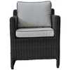 Carlton SIngle Arm Chair Outdoor Furniture Front View in Black Color