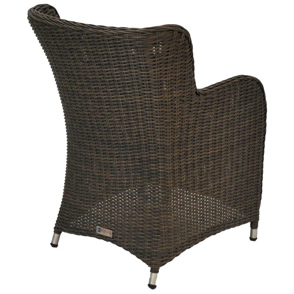 Bloomora Dining Chair Wicker Rattan Outdoor Furniture Back Angle